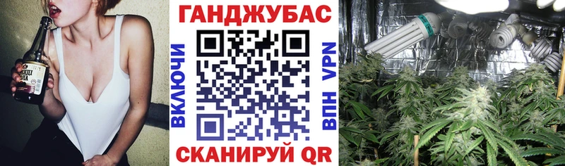 Шишки марихуана Bruce Banner где продают наркотики Долинск